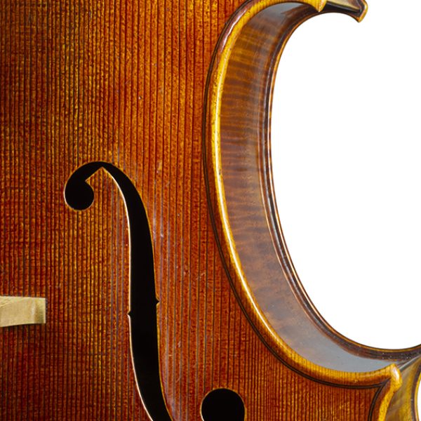 Violoncelle Cello 2020 nicolas gilles ff detail