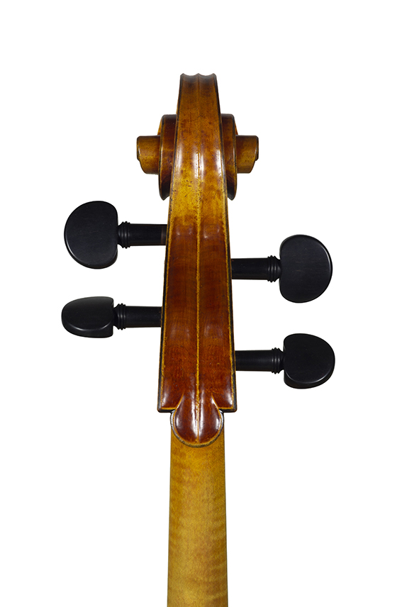 Violoncelle Cello 2020 nicolas gilles head back