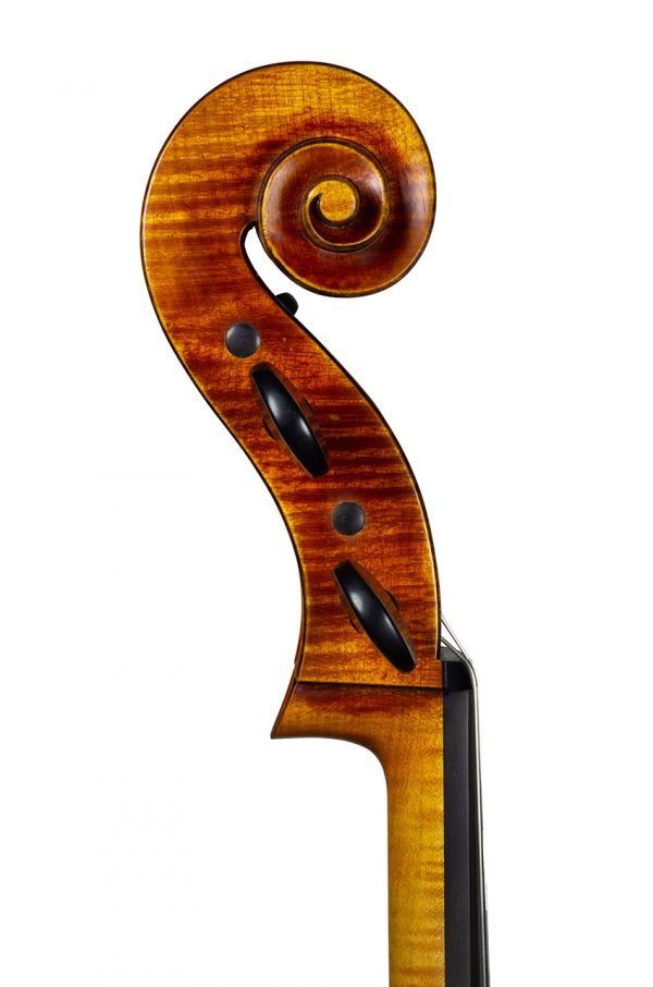 Violoncelle Cello dec_janv 2021 Nicolas GILLES tete