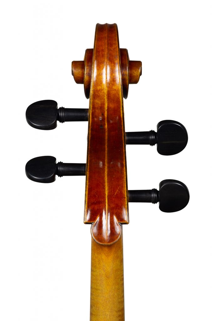 Violoncelle Cello dec_janv 2021 Nicolas GILLES tete dos