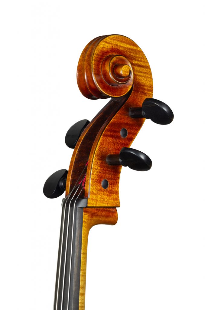 Violoncelle Cello dec_janv 2021 Nicolas GILLES tete face 3 4