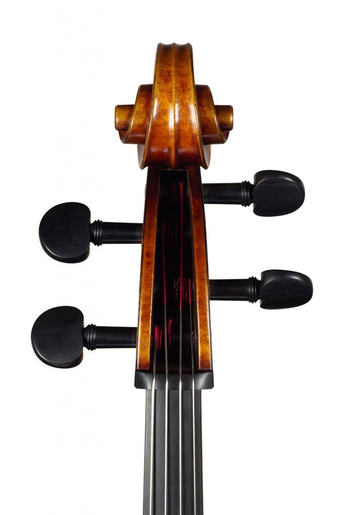 Violoncelle Cello dec_janv 2021 Nicolas GILLES tete face
