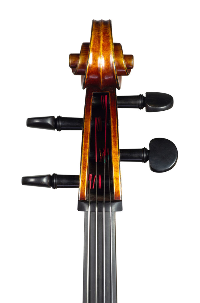 Cello may 2021 nicolas gilles head front