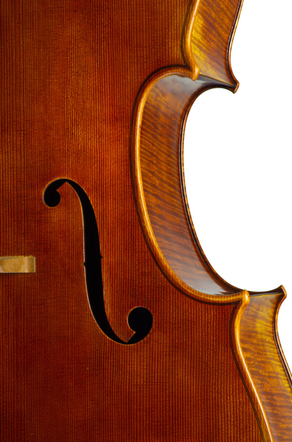 nicolas gilles front detail cello june 2022net