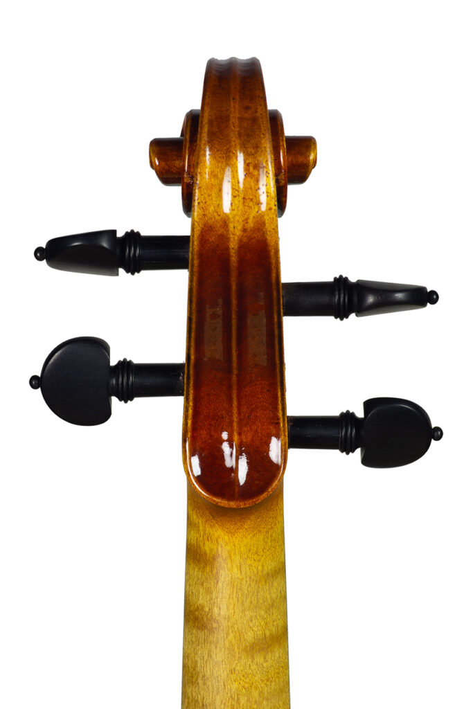 violin nicolas gilles may 2023 net head back